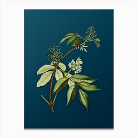 Vintage Red Elderberry Botanical Art on Teal Blue Canvas Print