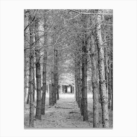 Woodland Black And White Canvas Print