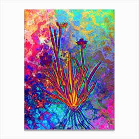 Yellow Eyed Grass Botanical in Acid Neon Pink Green and Blue n.0309 Canvas Print