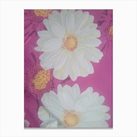 Daisy Canvas Print