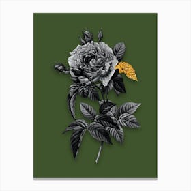 Vintage Pink French Rose Black and White Gold Leaf Floral Art on Olive Green n.0874 Canvas Print