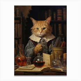 Alchemist Cat With Potions 1 Canvas Print