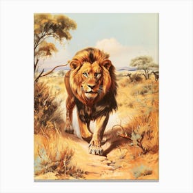 Barbary Lion Hunting Illustration 2 Canvas Print