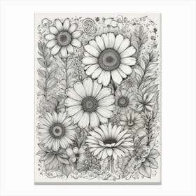 Daisies 4 Canvas Print