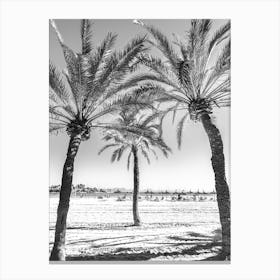 Palm Trees On The Beach Mallorca Canvas Print
