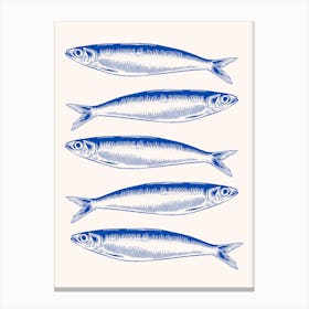 Sardine Fishes Art Print Canvas Print