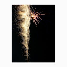 Firework Canvas Print