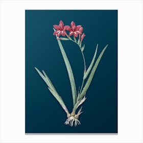 Vintage Gladiolus Cardinalis Botanical Art on Teal Blue n.0473 Canvas Print