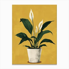 Peace Lily 2 Canvas Print