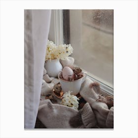 Window Sill Canvas Print