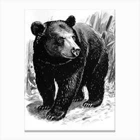 Malayan Sun Bear Standing In A Forests Ink Illustration 2 Canvas Print