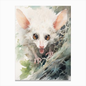 Light Watercolor Painting Of A Hissing Possum 4 Canvas Print