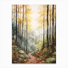 Autumn Forest Landscape Black Forest Germany 3 Canvas Print