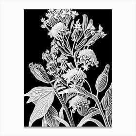 Whorled Milkweed Wildflower Linocut Canvas Print