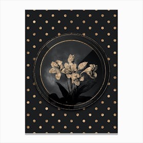 Shadowy Vintage Crinum Giganteum Botanical on Black with Gold n.0041 Canvas Print