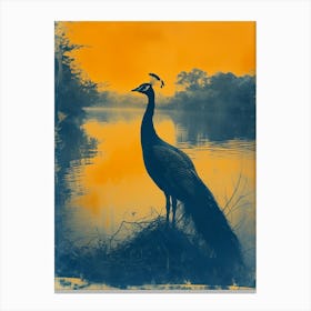 Orange & Blue Vintage Peacock In The Water 3 Canvas Print