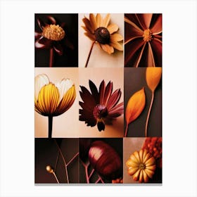 Autumn Flowers, Autumn Collection 2 Canvas Print