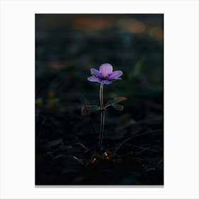 Small Purple Flower 1 Canvas Print