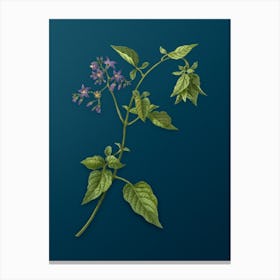 Vintage Bittersweet Botanical Art on Teal Blue Canvas Print