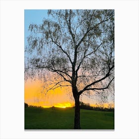 Sunset Over A Tree Canvas Print