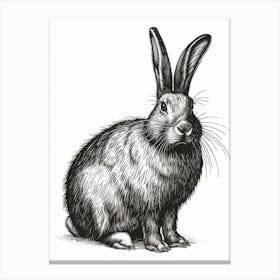 Flemish Giant Blockprint Rabbit Illustration 4 Canvas Print