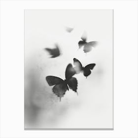 Dance Of The Butterflies No 3 Canvas Print
