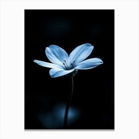 Blue Flower 6 Canvas Print