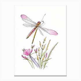 Dragonfly On Flower Pencil Illustration 1 Canvas Print