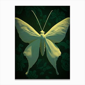 Butterfly 5 Canvas Print