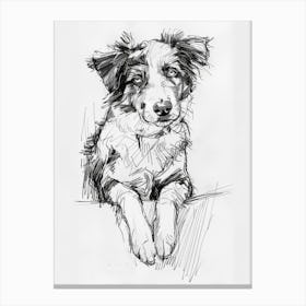 Miniature American Shepherd Dog Line Sketch 4 Canvas Print