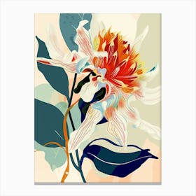 Colourful Flower Illustration Dahlia 2 Canvas Print