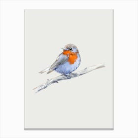 Robin 1 Canvas Print