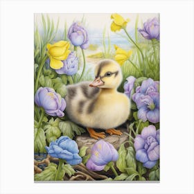Floral Duckling Pencil Illustration 1 Canvas Print