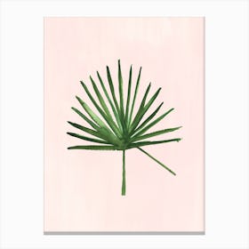 Windmill Palm Canvas Print