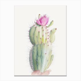 Rat Tail Cactus Pastel Watercolour 2 Canvas Print