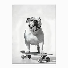 Bulldog On Skateboard Canvas Print