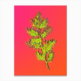 Neon Virginian Juniper Botanical in Hot Pink and Electric Blue Canvas Print