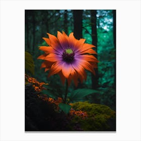 Flower In The Forest 2 Canvas Print