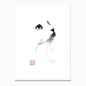 Cat In White Canvas Print