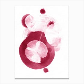 Abstract Dark Pink Poppy Canvas Print