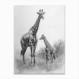Giraffe & Calf Pencil Portrait  1 Canvas Print