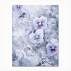 Frosty Botanical Wild Pansy Canvas Print