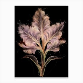 Feathers On Black Background Canvas Print