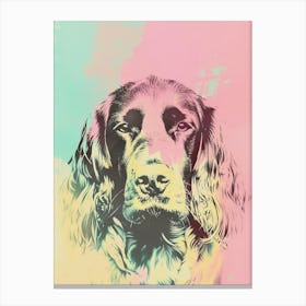 Boykin Spaniel Dog Pastel Line Watercolour Illustration  1 Canvas Print