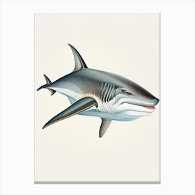 Galapagos Shark Vintage Canvas Print