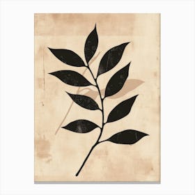 Leaf Illus 1 Canvas Print