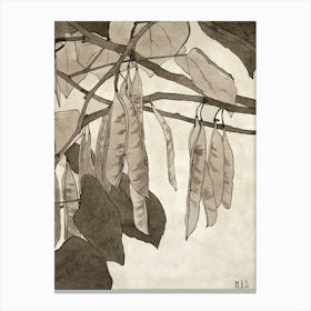 Red Bud (1915), Hannah Borger Overbeck Canvas Print