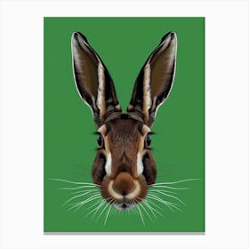 Hare Illustration 3 Canvas Print