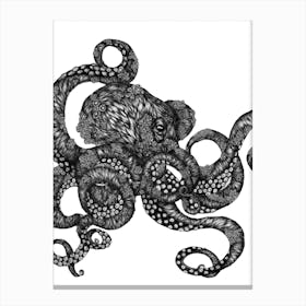 Barnacle Octopus Canvas Print
