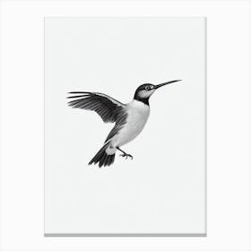 Baldpate B&W Pencil Drawing 1 Bird Canvas Print